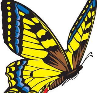 11.9.2016 – Vycházka za motýly a dalšími hmyzáky – spolek Kamínky