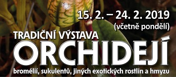 Jihočeské muzeum v Českých Budějovicích – tradiční výstava orchidejí, bromélií, …